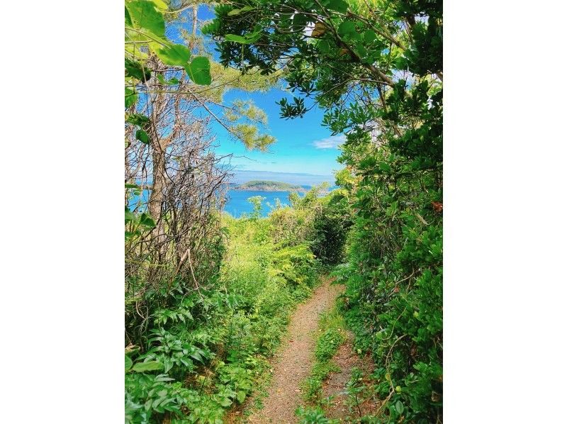 [Mikuni, Fukui] From the quiet promenade to the best spot on the cliffs - A walk with a nature guide to the truly spectacular Tojinboの紹介画像