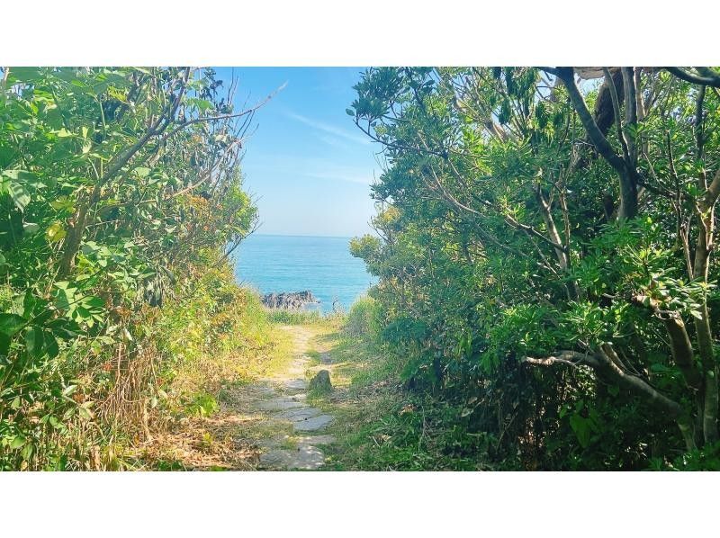 [Mikuni, Fukui] From the quiet promenade to the best spot on the cliffs - A walk with a nature guide to the truly spectacular Tojinboの紹介画像