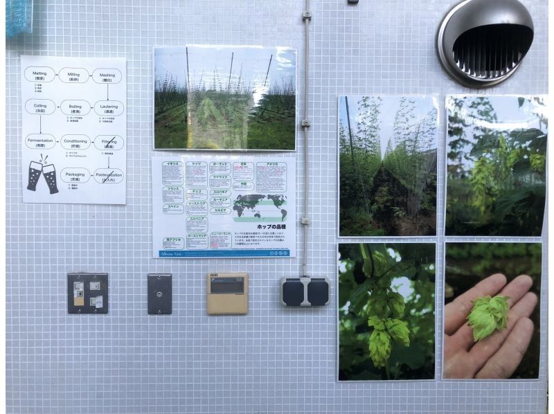 【秋田・秋田市】＜醸造所見学＆ワークショップ＞世界に1つだけのラベルをつくろう！秋田あくらビール醸造所見学＆オリジナルラベルのお絵描き体験の紹介画像