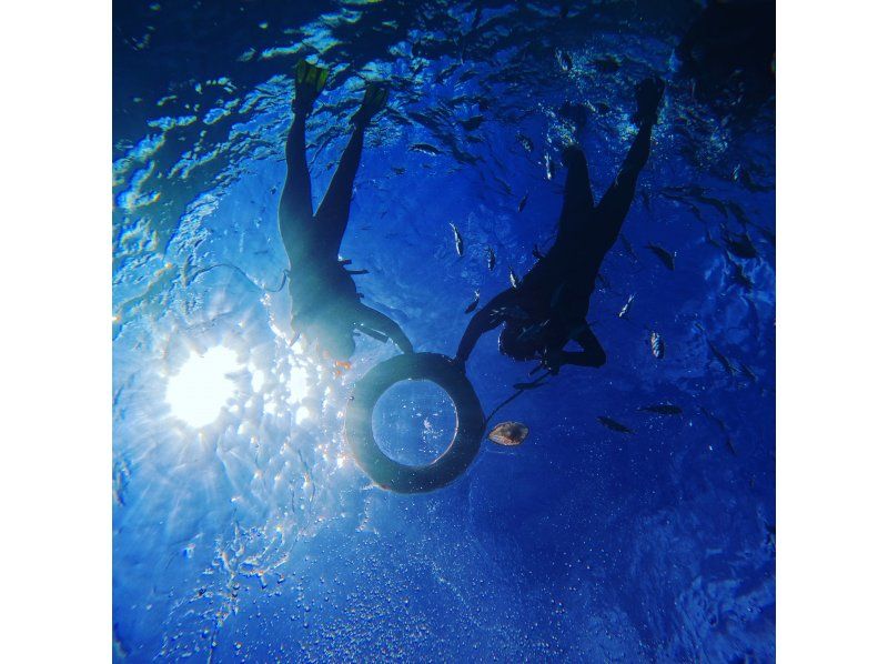 【沖縄・読谷村】初心者大歓迎！！大興奮！！ジンベイザメシュノーケリング！！の紹介画像