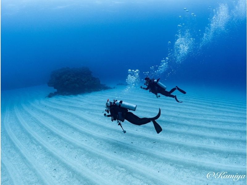 【沖縄・那覇】国立公園慶良間諸島体験ダイビング２ダイブ＋シュノーケリング｜4名様以上の参加OK｜初めてでも安心｜泳げなくてもOKの紹介画像