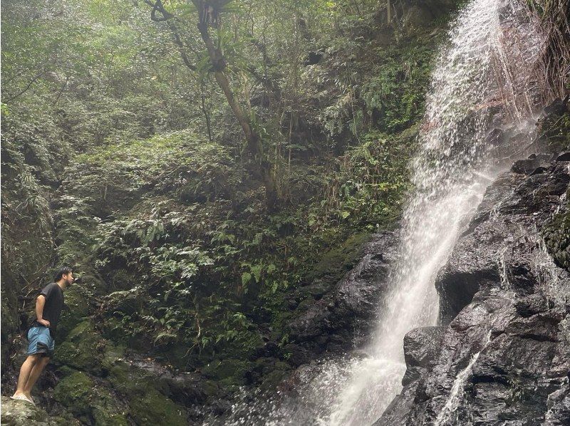【鹿児島・奄美大島】完全貸し切り半日ツアー！　絶景の神秘の滝を大冒険！　滝遊び川遊び満喫ツアーの紹介画像