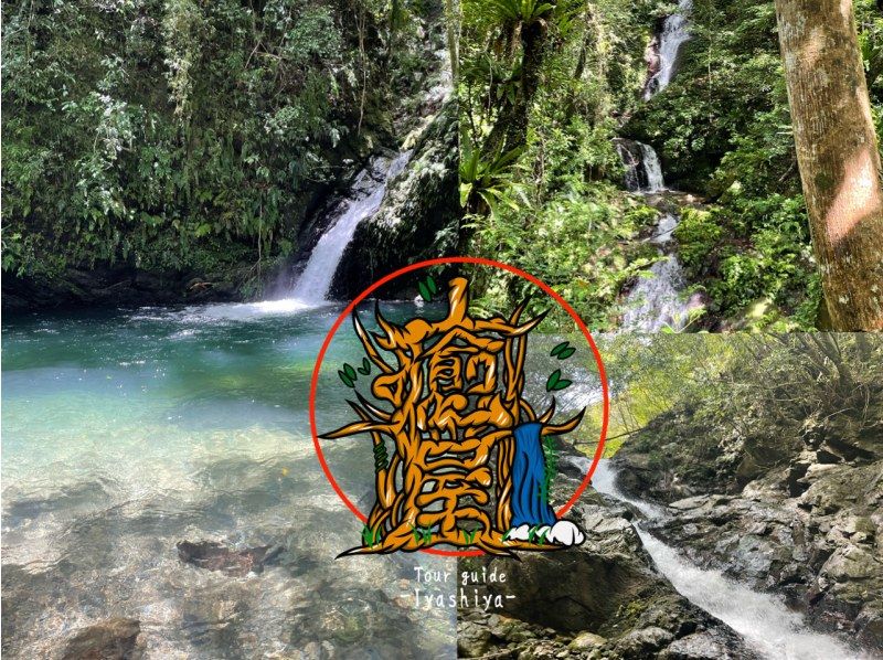 【鹿児島・奄美大島】完全貸し切り半日ツアー！　絶景の神秘の滝を大冒険！　滝遊び川遊び満喫ツアーの紹介画像