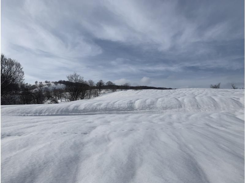 Nagano Iiyama: Snowshoe Hike Snowfield & Forest around Togari の紹介画像