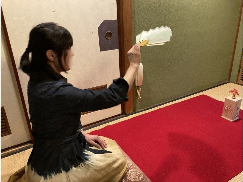 浅草｜少人数で味わう日本文化の粋 雷門・浅草寺散策と会席料理、芸者の舞を楽しむ一日（2〜3名限定）の紹介画像