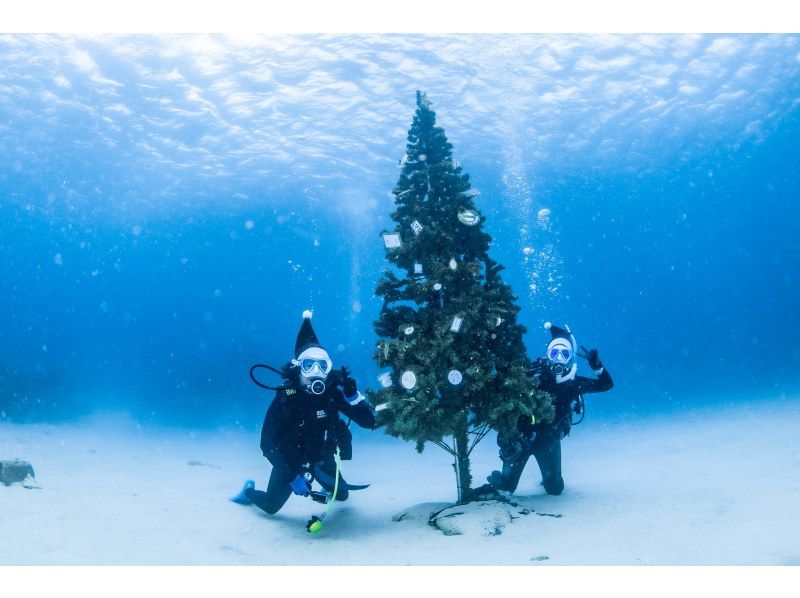 距離美麗海水族僅15分鐘路程 [崎本部綠地] 選擇您的活動 ❤️ 浮潛、水肺潛水、自由潛水‼ ️ 免費照片和影片禮品の紹介画像