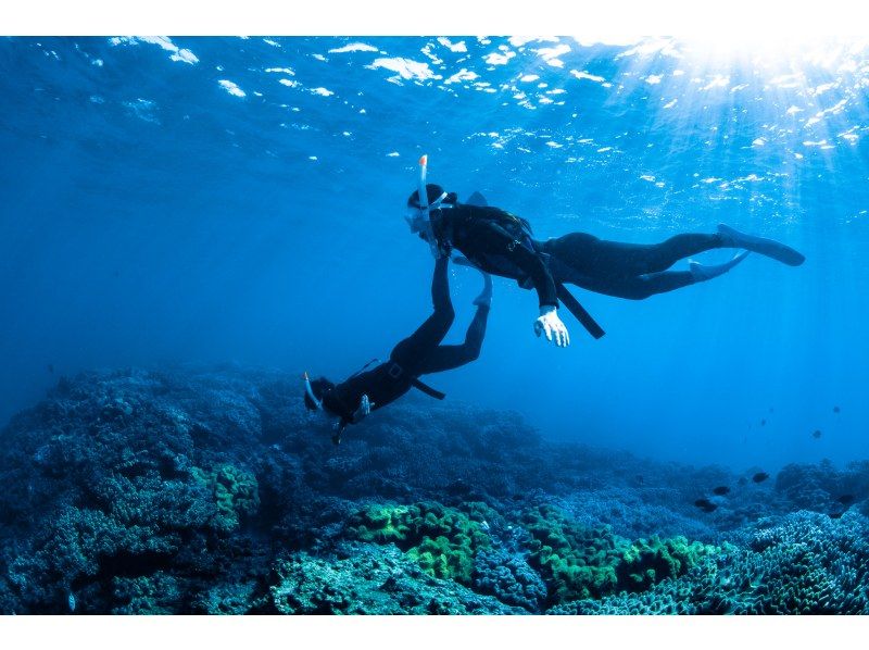 距離美麗海水族僅15分鐘路程 [崎本部綠地] 選擇您的活動 ❤️ 浮潛、水肺潛水、自由潛水‼ ️ 免費照片和影片禮品の紹介画像