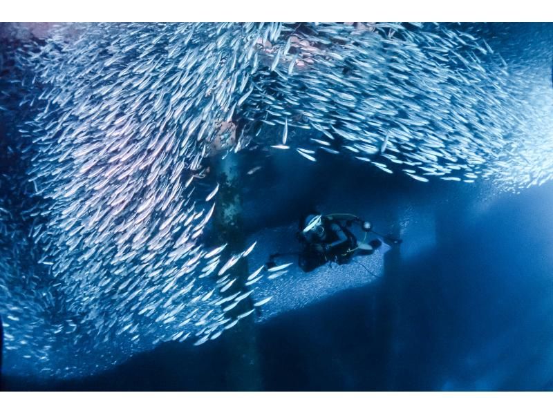 距離美麗海水族僅15分鐘路程 [崎本部綠地] 選擇您的活動 ❤️ 浮潛、水肺潛水、自由潛水‼ ️ 免費照片和影片禮品の紹介画像