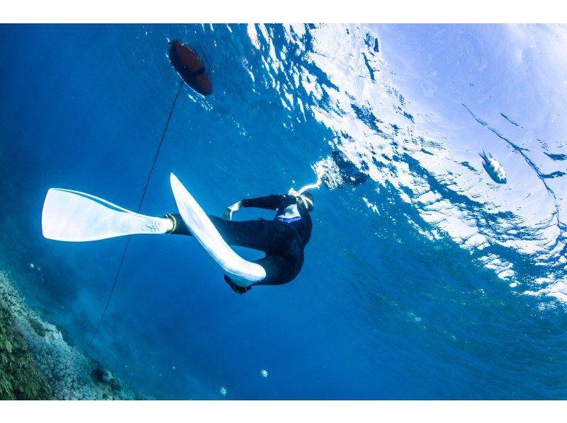 距離美麗海水族僅15分鐘路程 [崎本部綠地] 選擇您的活動 ❤️ 浮潛、水肺潛水、自由潛水‼ ️ 免費照片和影片禮品の紹介画像