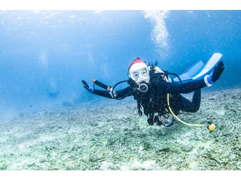 距離美麗海水族僅15分鐘路程 [崎本部綠地] 選擇您的活動 ❤️ 浮潛、水肺潛水、自由潛水‼ ️ 免費照片和影片禮品の紹介画像