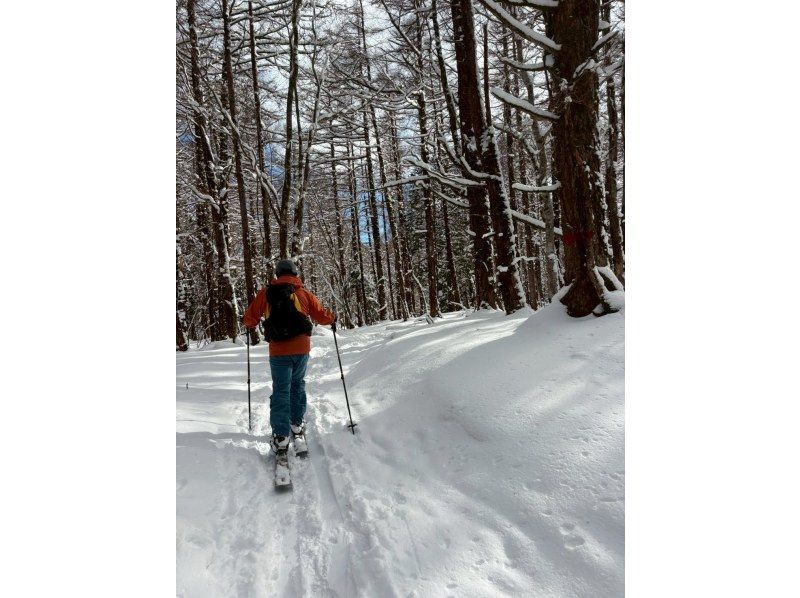 【栃木・日光/鬼怒川】日光鶏頂高原スノーハイクツアーの紹介画像