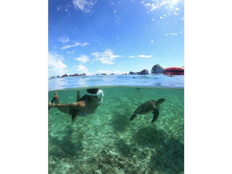 【沖縄・宮古島】初心者・お子様・お一人様も大歓迎〜海ガメシュノーケルツアー！（プライベート1組限定）の紹介画像