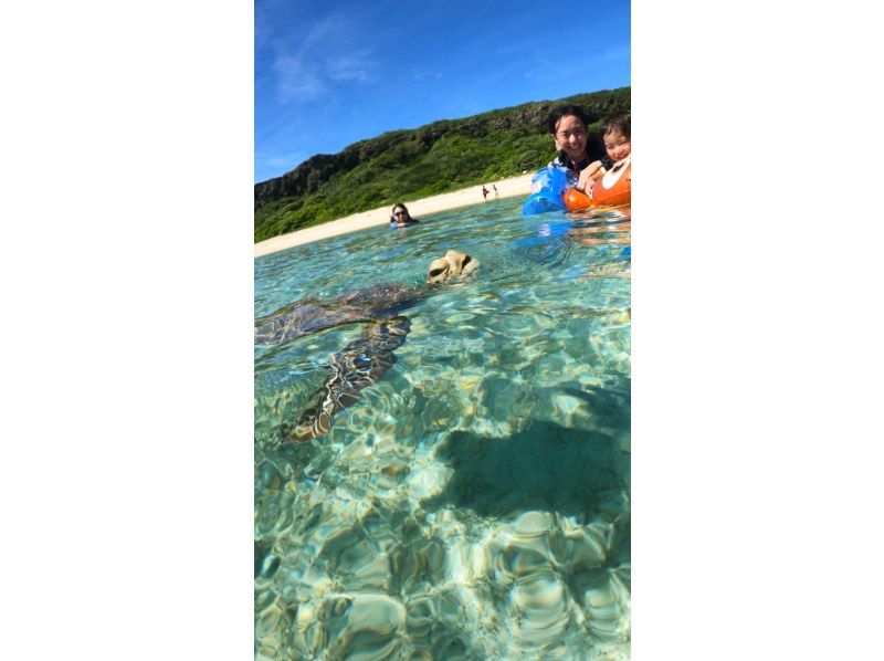 【沖縄・宮古島】初心者・お子様・お一人様も大歓迎〜海ガメシュノーケルツアー！（プライベート1組限定）の紹介画像