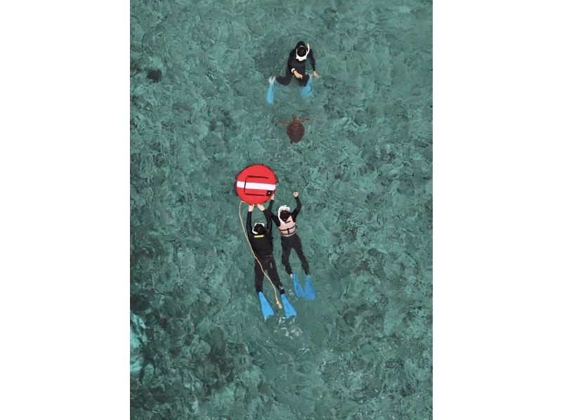 【沖縄・宮古島】初心者・お子様・お一人様も大歓迎〜海ガメシュノーケルツアー！（プライベート1組限定）の紹介画像