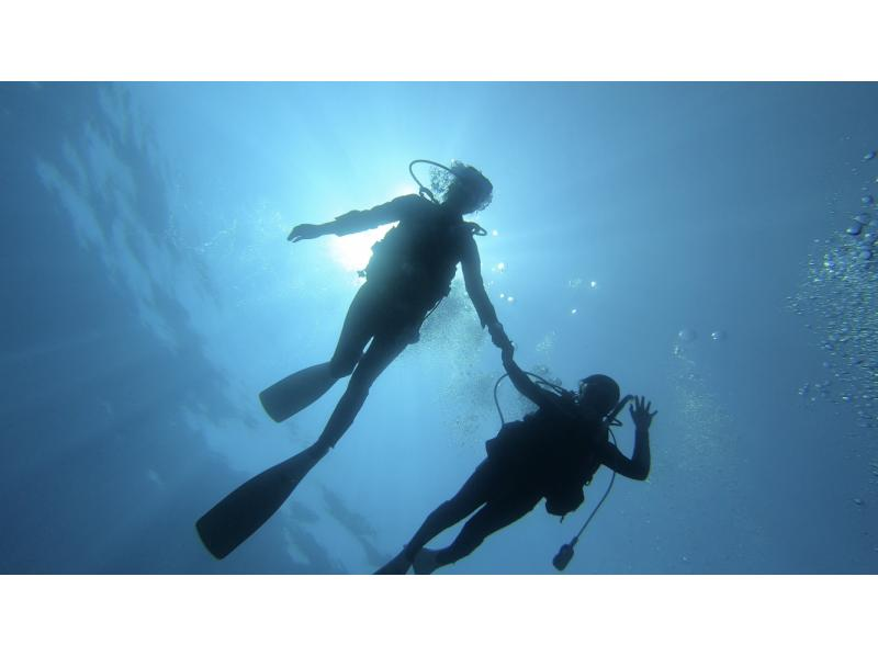 【冲绳庆良间】一日船潜体验の紹介画像