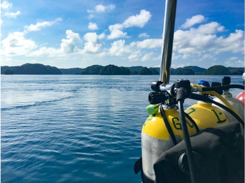 【冲绳庆良间】PADI开放水域潜水员课程（线上学习）の紹介画像