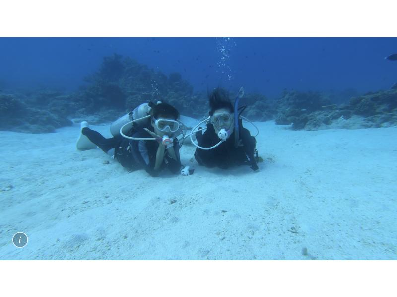 【冲绳庆良间】PADI开放水域潜水员课程（线上学习）の紹介画像