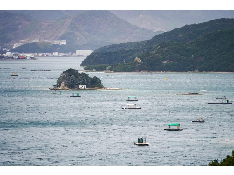 【徳島・鳴門】専用ガイド＆車で巡る　徳島の豊かな「食」（釣り&BBQ）をテーマにした日帰り体験ツアーの紹介画像