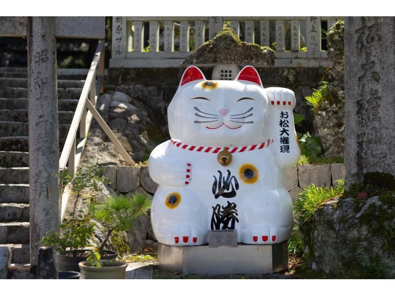 【徳島・鳴門】専用ガイド＆車で巡る　waterアクティビティ＆徳島の自然と文化を満喫するツアーの紹介画像