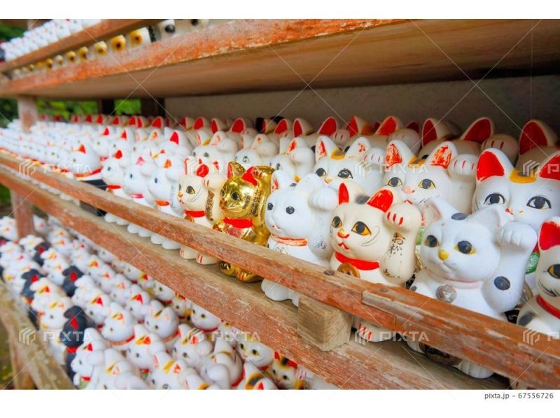 【徳島・鳴門】専用ガイド＆車で巡る　waterアクティビティ＆徳島の自然と文化を満喫するツアーの紹介画像