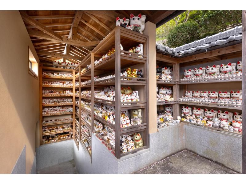 【徳島・鳴門】専用ガイド＆車で巡る　waterアクティビティ＆徳島の自然と文化を満喫するツアーの紹介画像