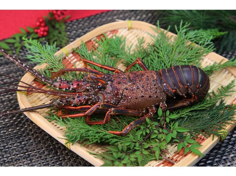 【徳島・鳴門】専用ガイド＆車で巡る　waterアクティビティ＆徳島の自然と文化を満喫するツアーの紹介画像