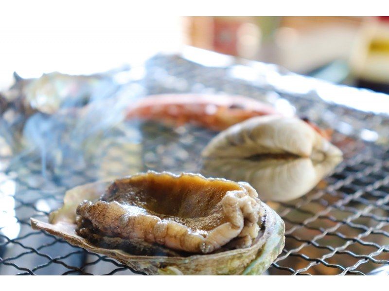 【徳島・鳴門】専用ガイド＆車で巡る　waterアクティビティ＆徳島の自然と文化を満喫するツアーの紹介画像