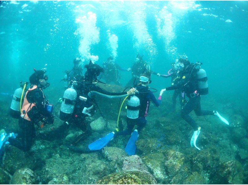 団体(4名様から30名様)（企業・学校・サークルなど）向けダイビングライセンス講習（オープンウォーター取得】2.5日で国際ライセンス取得）の紹介画像