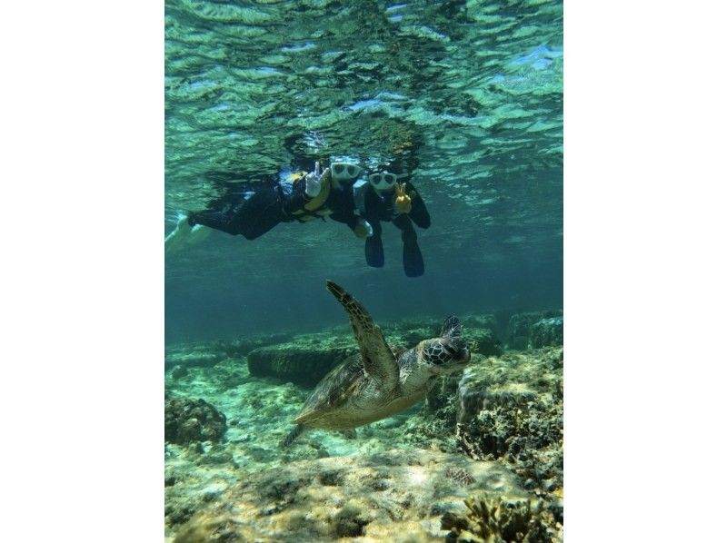 【那覇、糸満】船に乗らない、ビーチエントリー専門！ウミガメやカラフル熱帯魚が楽しめるジョン万ビーチでのシュノーケル！ 写真データ＆餌やり無料の紹介画像
