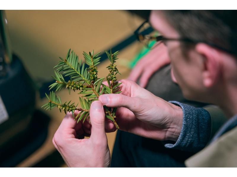[Tagami Town, Niigata Prefecture] A stroll around the secret Yudagami Onsen with a local guideの紹介画像
