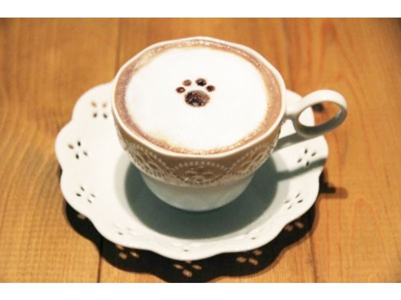 【东京吉祥寺】不限时！安全舒适的室内猫咪咖啡厅，雨天好去处~距离吉祥寺站步行5分钟，无年龄限制の紹介画像