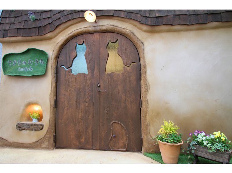 【东京吉祥寺】不限时！安全舒适的室内猫咪咖啡厅，雨天好去处~距离吉祥寺站步行5分钟，无年龄限制の紹介画像