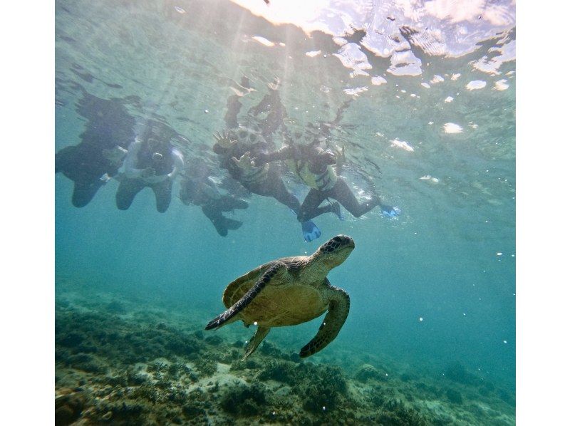 冬用ウエットスーツ無料レンタル！【ジョン万ビーチ】ウミガメや熱帯魚が楽しめるシュノーケリング！写真データ＆餌やり無料の紹介画像