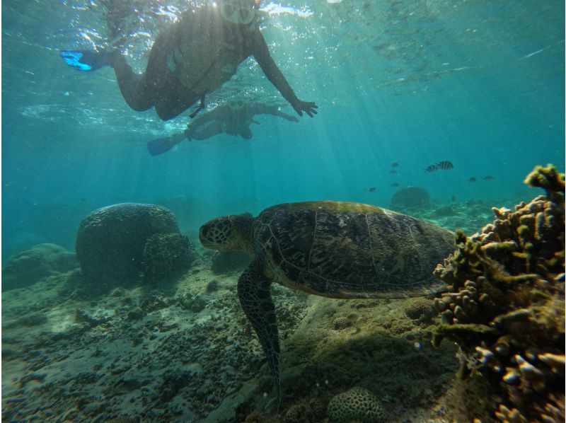 冬用ウエットスーツ無料レンタル！【ジョン万ビーチ】ウミガメや熱帯魚が楽しめるシュノーケリング！写真データ＆餌やり無料の紹介画像
