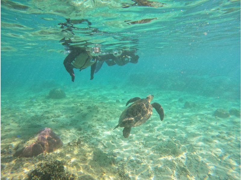 『那覇・糸満』ウミガメの産卵地でのシュノーケリング【ジョン万ビーチ】でカラフル熱帯魚が楽しめるシュノーケル！ 写真データ＆餌やり無料ののコピの紹介画像