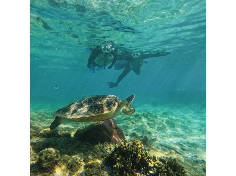 『那覇・糸満』ウミガメの産卵地でのシュノーケリング【ジョン万ビーチ】でカラフル熱帯魚が楽しめるシュノーケル！ 写真データ＆餌やり無料ののコピの紹介画像
