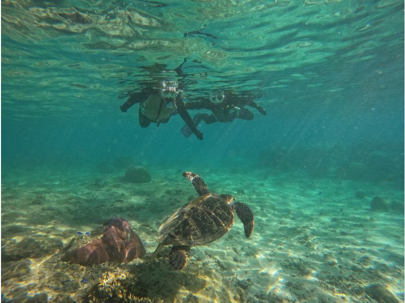 『那覇・糸満』ウミガメの産卵地でのシュノーケリング【ジョン万ビーチ】でカラフル熱帯魚が楽しめるシュノーケル！ 写真データ＆餌やり無料ののコピの紹介画像