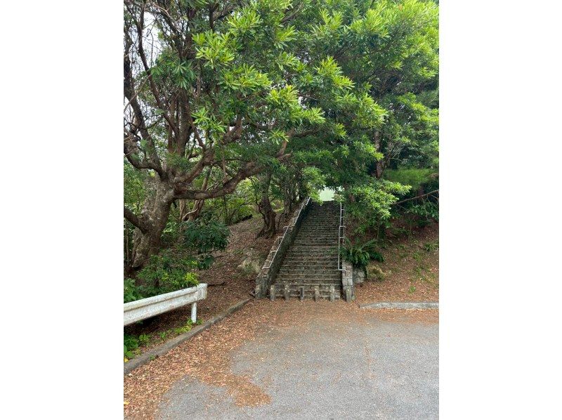 【冲绳，边户岬】骑着Glafit电动自行车，畅游世界自然遗产山原，体验刺激的北端探险之旅！| 欢迎初学者の紹介画像