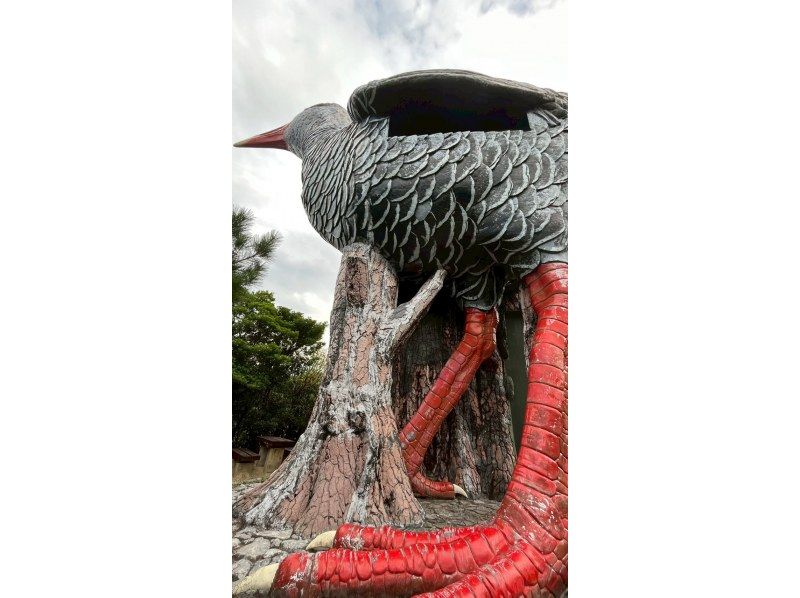 【冲绳，边户岬】骑着Glafit电动自行车，畅游世界自然遗产山原，体验刺激的北端探险之旅！| 欢迎初学者の紹介画像