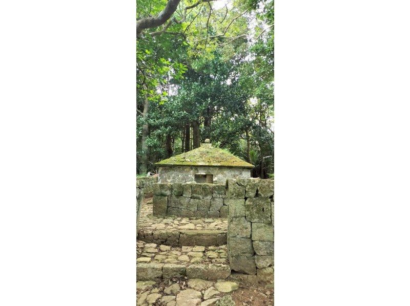 【冲绳，边户岬】骑着Glafit电动自行车，畅游世界自然遗产山原，体验刺激的北端探险之旅！| 欢迎初学者の紹介画像