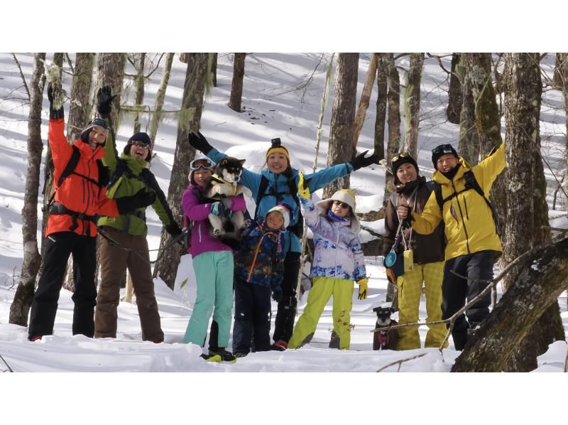 [Yamagata, Zao] Snow Forest Snow Walk - Dogs are welcome! Enjoy your first snow experience in the great outdoors of DEEP ZAO Zao Bodaira!の紹介画像