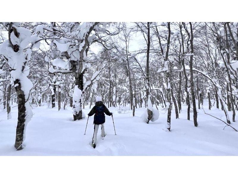 [Yamagata, Zao] Snow Forest Snow Walk - Dogs are welcome! Enjoy your first snow experience in the great outdoors of DEEP ZAO Zao Bodaira!の紹介画像
