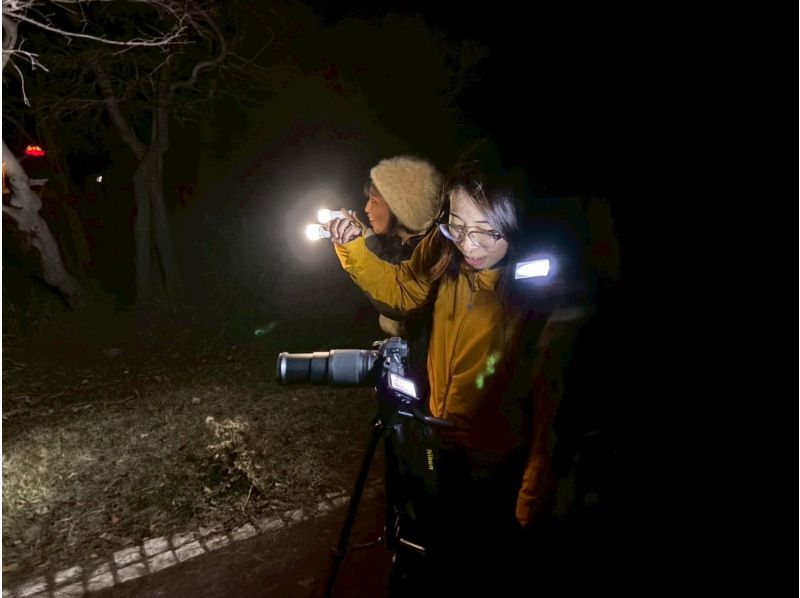 【宮崎・鹿児島／えびの高原】初心者向け・夜の山歩き★えびの高原ナイトハイクの紹介画像