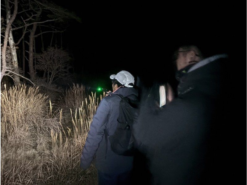 【宮崎・鹿児島／えびの高原】初心者向け・夜の山歩き★えびの高原ナイトハイクの紹介画像