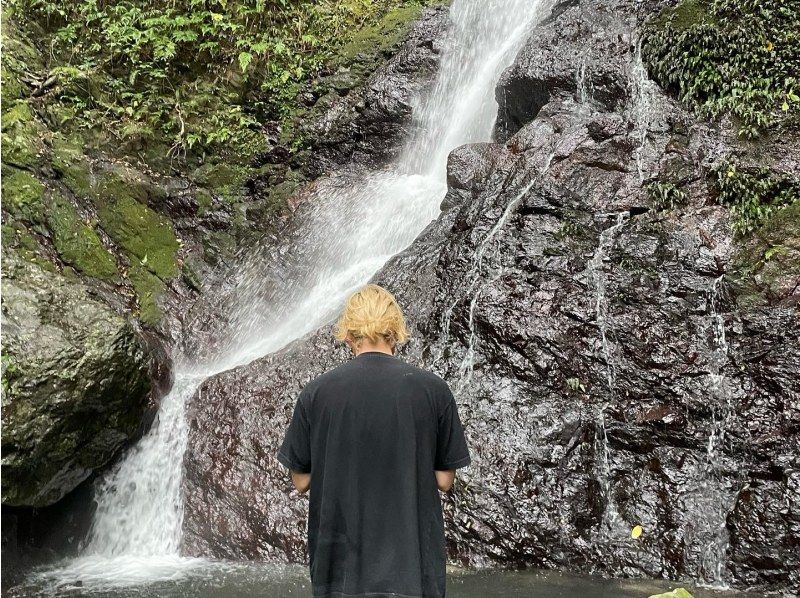 【奄美大島　秘境大冒険ツアー】完全貸し切り！丸っと1日ツアー　世界遺産の山の魅力詰め合わせ！　生命の巨木トレッキングと神秘の滝で川遊び！の紹介画像