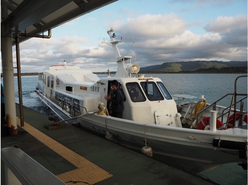 【沖縄・西表島】奇跡の島「バラス島」「鳩間島」を巡るシュノーケリング１日ツアー 石垣島からの日帰り参加OK「写真データ無料プレゼント」の紹介画像