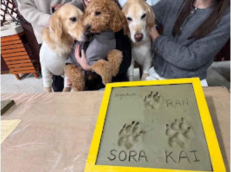 [兵庫縣南淡路市] 這項廣受歡迎的「一觸式體驗」使用淡路島的真正粘土瓦片，留下您愛犬的腳印。の紹介画像