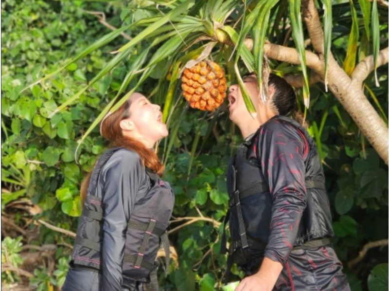 【石垣島/夕方】当日予約OK！絶景スポットでサンセットクリアSUP！ドローン撮影、写真データ、送迎無料！未就学児無料♪年齢問わず参加可能！の紹介画像