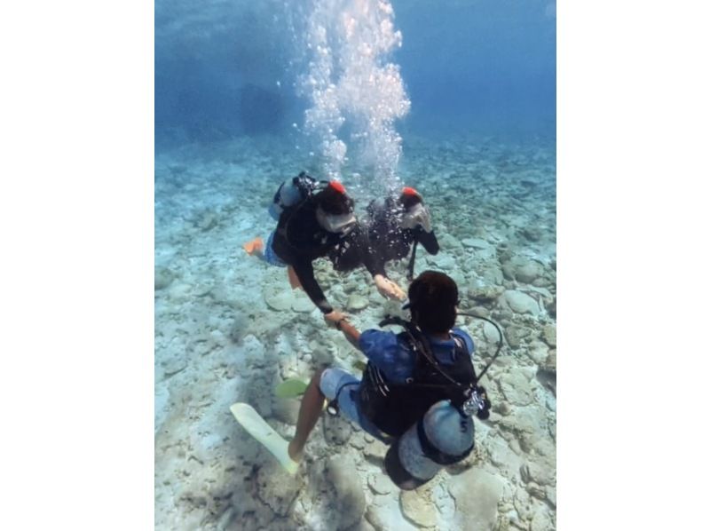 [Okinawa Kerama] Safe and luxurious experience diving in Kerama, the diving mecca!の紹介画像