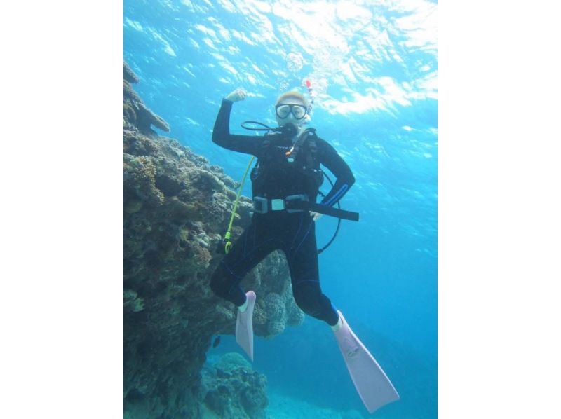 【오키나와 게라마】 다이빙의 성지 게라마에서 천천히 사치스러운 FUN 다이빙!の紹介画像